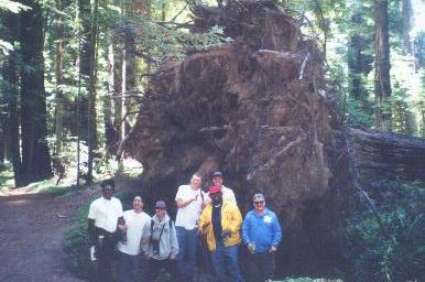 Horizon Home  Humboldt Redwoods 2000.JPG